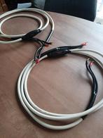 Transparent musicwave luidsprekerkabels, Ophalen of Verzenden