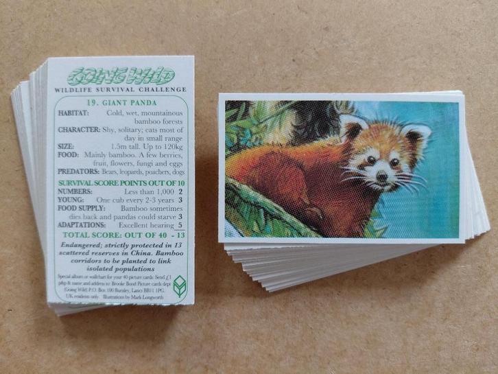 Going Wild complete set 40 dieren chromos Brooke Bond 1994, Verzamelen, Foto's en Prenten, Prent, Dier, 1980 tot heden, Ophalen of Verzenden