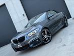 BMW 230iA Cabrio | Facelift | M packet | NAVI | XENON | GVV, Automaat, Testrit aan huis, Euro 6, Leder