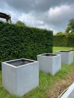 Bloembak beton vierkant 60x60x60, Tuin en Terras, Ophalen, Vierkant, Zo goed als nieuw, 60 tot 100 cm