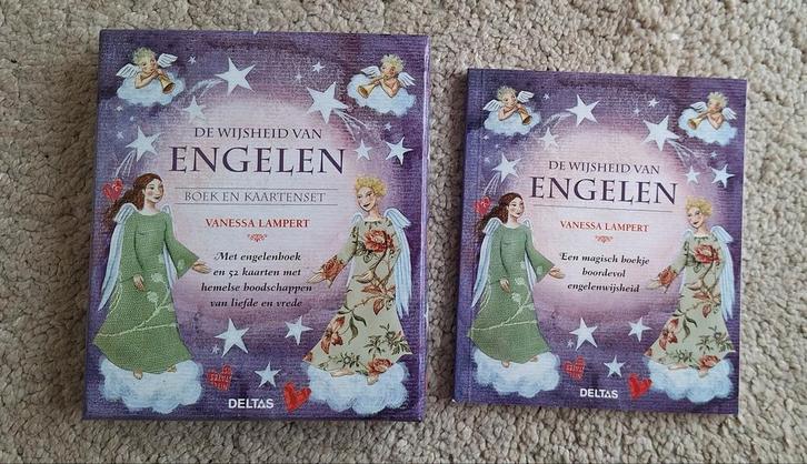 Vanessa Lampert - De wijsheid van engelen, Boeken, Esoterie en Spiritualiteit, Zo goed als nieuw, Ophalen of Verzenden