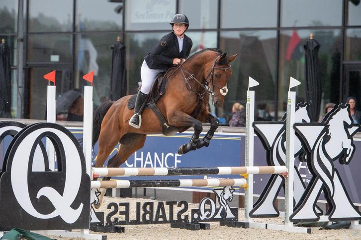 Springruiter gezocht ( ervaren!), Dieren en Toebehoren, Paarden en Pony's | Overige Paardenspullen, Ophalen