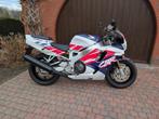 Honda fireblade cbr900rr sc28 1993, Motoren, Motoren | Honda, Particulier