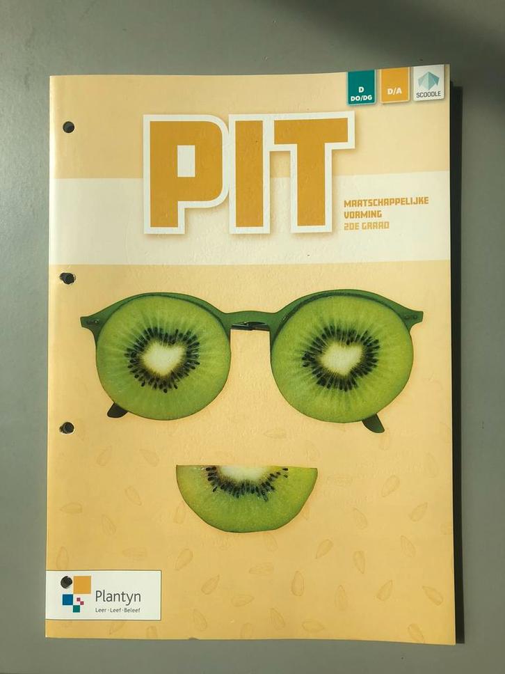 An Verstraelen - PIT Maatschappelijke vorming 2de graad, Boeken, Schoolboeken, Nieuw, Nederlands, Ophalen