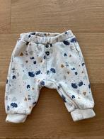 Pantalon Tape à l œil, Enfants & Bébés, Vêtements de bébé | Taille 74, Utilisé, Tape à l œil, Garçon, Pantalon