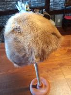 Chapeau en vison claire, Enlèvement ou Envoi, Chapeau