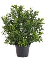 Kunstbuxus in pot uv bestendig zonder stam, Nieuw, Ophalen of Verzenden, Sunshine-Colours BV, Budingenweg 37 te 3440 Zoutleeuw