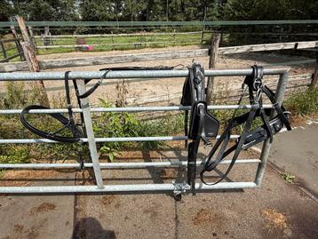 Zilco Pony tuig, Enlèvement ou Envoi