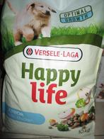 hondenbrokken, Ophalen of Verzenden, Hond