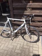 Koersfiets, Fietsen en Brommers, Ophalen, Gebruikt