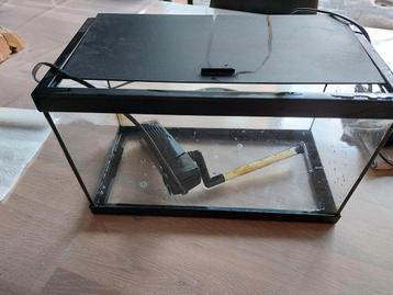 Aquarium beschikbaar voor biedingen