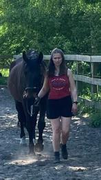 Sportpaard /fokmerrie, Dieren en Toebehoren, Paarden, Merrie, M, Gechipt, 170 tot 175 cm