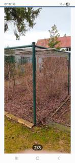 10 grote blauwbessen struiken, Tuin en Terras, Ophalen