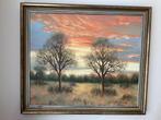 Schilderij Zuid Afrikaanse savanne., Ophalen