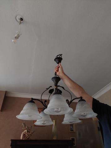 Luster beschikbaar voor biedingen