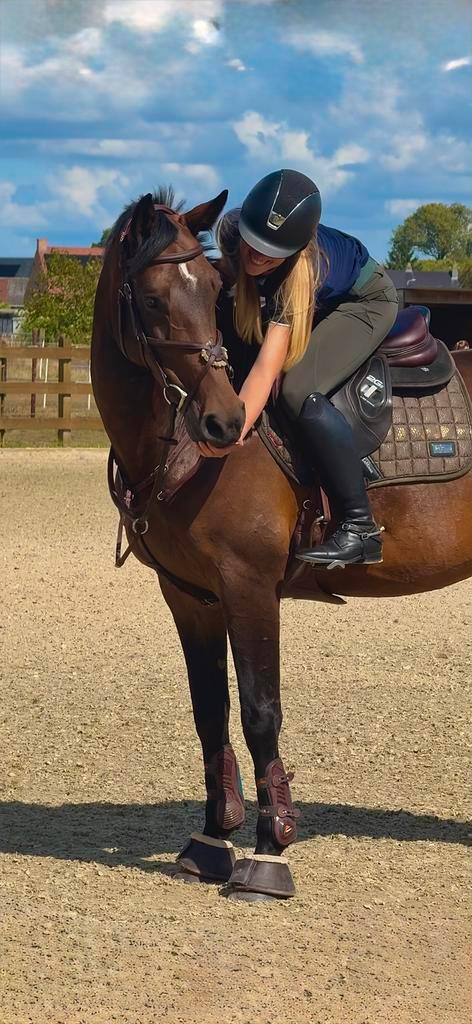 Halve stal gezocht voor mijn 10 jarige merrie, Dieren en Toebehoren, Paarden, Merrie, M, 165 tot 170 cm, 7 tot 10 jaar, Springpaard