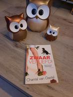 Chantal van gastel - zwaar verliefd, Enlèvement ou Envoi