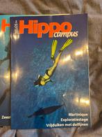 Hippo Campus Duik tijdschrift, Boeken, Tijdschriften en Kranten, Gelezen, Sport en Vrije tijd, Ophalen of Verzenden