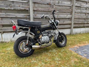 Dax 125cc origineel, Vélos & Vélomoteurs, Enlèvement, 125 cm³, Autres types, Honda
