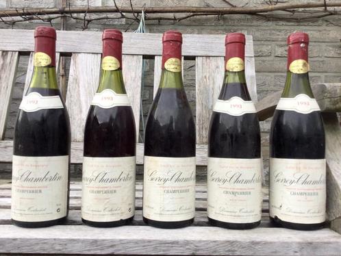 Gevrey-Chambertin Domaine Tortochot Vieilles Vignes 1993 (5, Verzamelen, Wijnen, Gebruikt, Rode wijn, Frankrijk, Vol, Verzenden