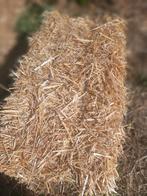 Kleine balen gerste stro, Dieren en Toebehoren, Ophalen, Nieuw