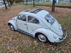 Volkswagen kever 1960 / 61 Ragtop, Auto's, Oldtimers, Volkswagen, Bedrijf, Te koop, LED verlichting