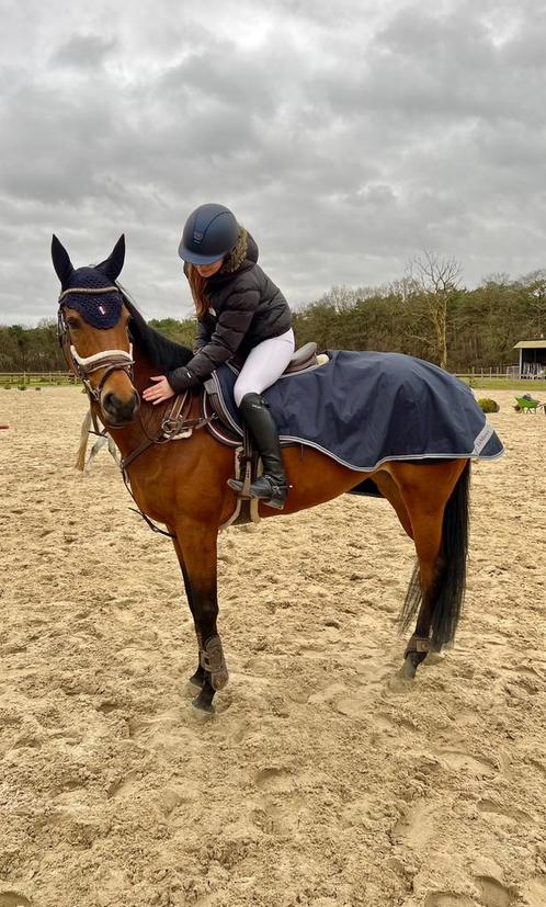 Lieve 10-jarige merrie te koop, Animaux & Accessoires, Chevaux, Jument, Ne s'applique pas, 160 à 165 cm, 7 à 10 ans, Cheval de récréation