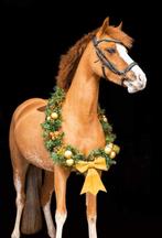 Merrie, Animaux & Accessoires, Poneys, Vermifugé, Poney C (1.27 m à 1.37m), Débourré, Poney de saut