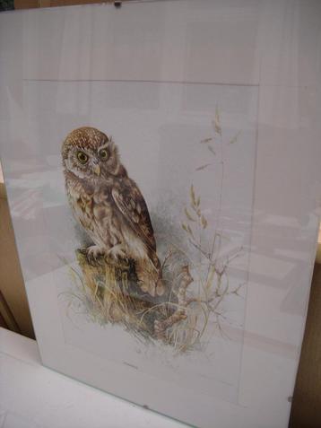 lot kleinere schilderijen beschikbaar voor biedingen