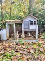 Konijnenhok, Dieren en Toebehoren, Knaagdieren en Konijnen | Hokken en Kooien, Ophalen, Gebruikt, Hok, Cavia