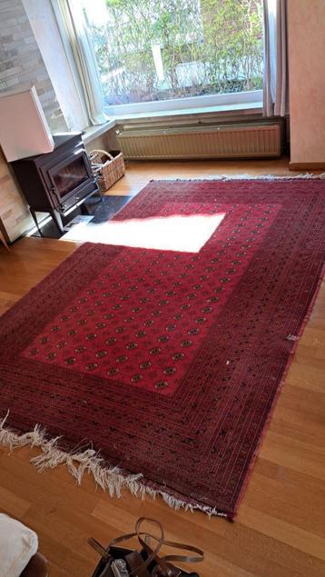 Prachtig Handgeknoopt Afghaans Tapijt / Wollen Vloerkleed (B beschikbaar voor biedingen