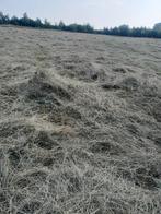 Weide hooi, Dieren en Toebehoren, Stalling en Weidegang