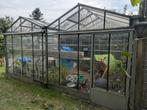 Serre te koop 6x4 meter, Ophalen, Gebruikt, Kweekkas, Glas