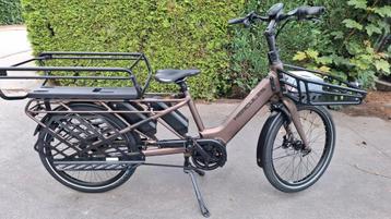 Prachtige nieuwe longtail met 2 batterijen beschikbaar voor biedingen