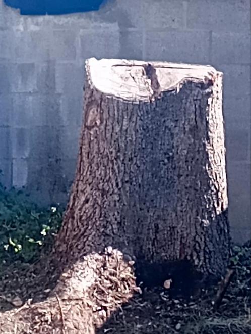 Brandhout gratis af te halen, Tuin en Terras, Brandhout, Ophalen of Verzenden