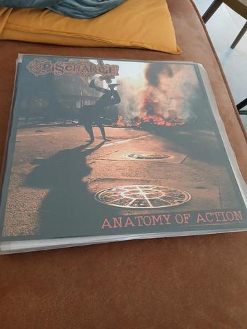 Pisscharge - anatomy of action beschikbaar voor biedingen