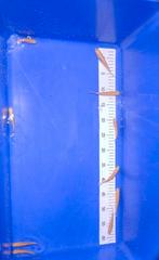 10 albino graskarpers 10/12cm, Dieren en Toebehoren