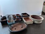Pots pour bonzaï, Poterie, Enlèvement, Utilisé, Autres formes