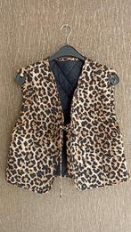 Nieuwe bodywarmer mt 44, Kleding | Dames, Ophalen of Verzenden, Nieuw, Maat 42/44 (L), Rood