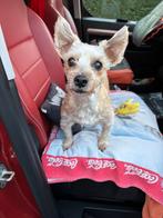 Auto, Auto's, Automaat, Monovolume, Parkeersensor, Overige kleuren