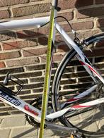 Koersfiets, Gebruikt, 15 tot 20 versnellingen, 53 tot 57 cm, Ophalen