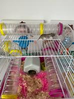 Hamsterkooi, Dieren en Toebehoren, Hamster, Maart, Meerdere dieren, Tam