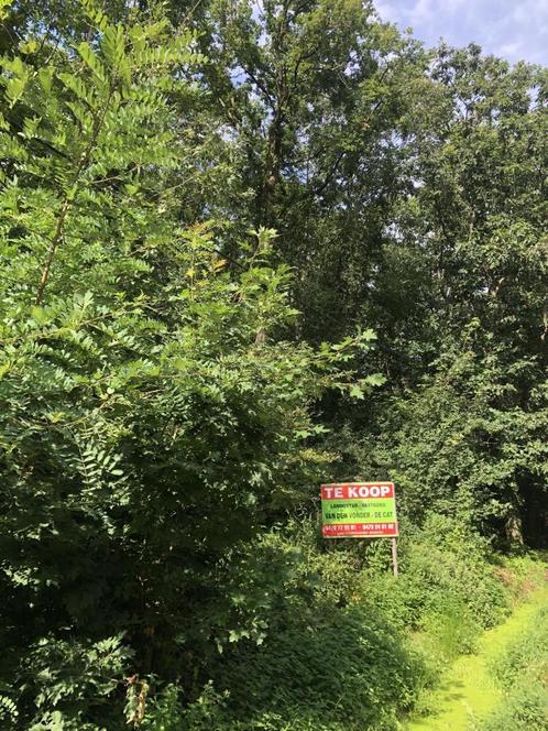 Grond te koop in Westmeerbeek, Immo, Gronden en Bouwgronden, tot 200 m²