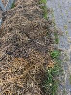 GRATIS paardenmest, Tuin en Terras, Aarde en Mest, Ophalen