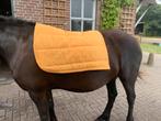 QHP dressuur full oker geel, Dieren en Toebehoren, Ophalen, Gebruikt, Dekje
