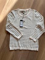 G-star pulletje, Nieuw, Ophalen of Verzenden, Maat 36 (S), G-star Raw