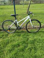 Vélo fille, Enlèvement