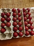 Broedeieren marans, Enlèvement