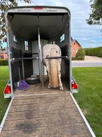 Paardentrailer te huur, Dieren en Toebehoren, Ophalen of Verzenden, Zo goed als nieuw