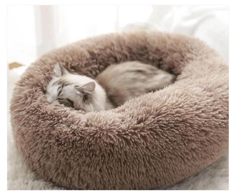 MrFluffyFriend - Lit anti-anxiété pour chat brun 60 cm, Enlèvement, Neuf, Peluche